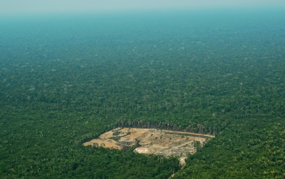 Deforestación en el Amazonas brasileño. FOTO: AFP