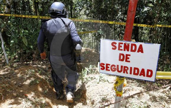 En el país se adelantan tareas de desminado en 19 municipios. Al 31 de marzo se despejaron más de dos millones de metros cuadrados de artefactos explosivos improvisados. FOTO Donaldo Zuluaga