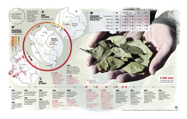 ¿Puede la hoja de coca volverse un cultivo legal?