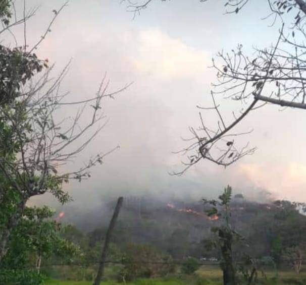 Seis cuerpos de bomberos de la zona se encuentran atendiendo la emergencia. FOTO CORTESÍA GUARDIANES DE ANTIOQUIA 