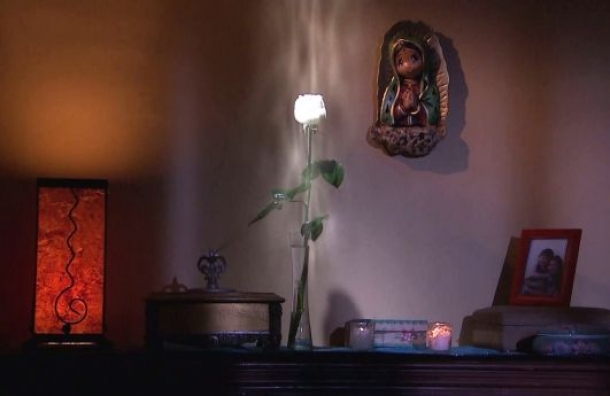 La rosa de Guadalupe. FOTO INTERNET