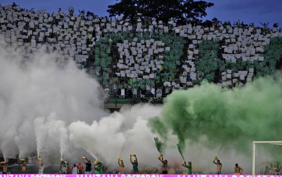 15 razones del título verde