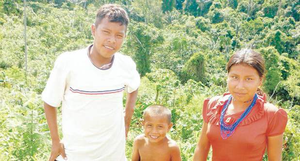 Resguardo de saber indígena, botánico y cultural | Cortesía | Blanca Teresa Alvarado, coordinadora del proyecto de la Unad que recibirá apoyo de la Unesco, celebró el reconocimiento porque está convencida de que es necesario visibilizar los conocimientos de los indígenas de Colombia.