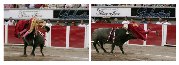 José Tomás, considerado el mejor torero del mundo, sobrevivió milagrosamente. | José Tomás, considerado el mejor torero del mundo, sobrevivió milagrosamente.
