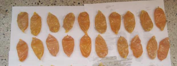 Cayeron dos personas con cocaína líquida en el aeropuerto José María Córdova | Cortesía Policía | A los capturados se les incautó 3.380 gramos de cocaína líquida.