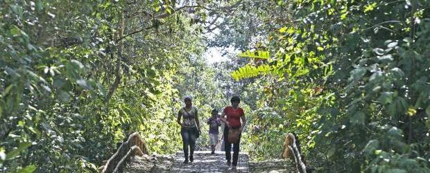 Dioses de piedra que miran con imponencia | Juan Fernando Cano | El Parque Arqueológico San Agustín constituye uno de los complejos funerarios más grandes encontrados en América. Allí se pueden conocer los rituales y símbolos de una sociedad precolombina. Vestigios dignos de ser admirados.
