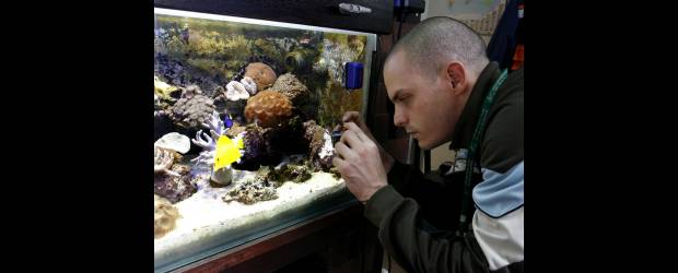 En un día le quitaron 19 años | Esteban Vanegas | La posesión de corales en Colombia está prohibida. Sin embargo, en el país no hay legislación en materia de tenencia y comercialización de peces. La gráfica registra el momento en que un funcionario ambiental adelanta el registro de las especies que hace dos semanas fueron incautadas en el barrio Los Almendros.