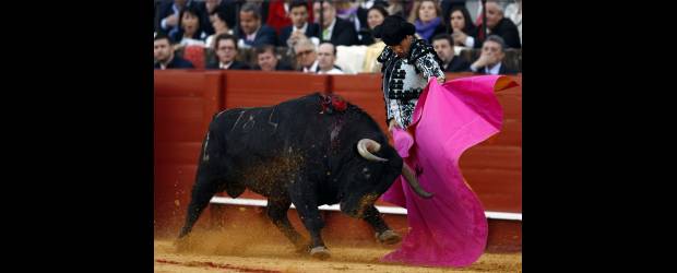 Con novillada se reciben los carteles taurinos de 2011 | Archivo | El debut en Medellín del torero español José Mari Manzanares es una de las atracciones de la Feria de La Macarena 2011, cuyos carteles se conocieron ayer.