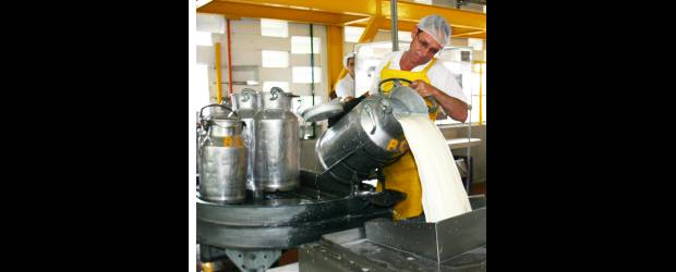 Colanta despierta celos en la costa | Archivo | Colanta ha mantenido el precio de la leche en 1.550 pesos desde hace tres años, con un valor de venta al público de 1.900 pesos.