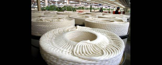 Tonelada de algodón quedó a $5,1 millones | Archivo | La producción de algodón del Interior del país y de la Costa tendrá, en adelante, un precio unificado. Ahora es de 5 millones 185 mil pesos por tonelada.