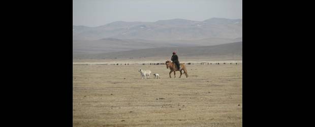 ¿El verano es más frío en Mongolia? | Cortesía | La supervivencia de los mongoles depende del conocimiento del clima.