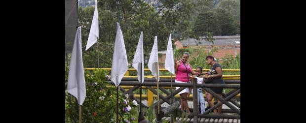 En el Puente de Zoila la paz encontró su oasis | Edwin Bustamante | Luego de un episodio violento, los habitantes del sector Puente de Zoila, en la antigua vía que conduce a San Cristóbal, decidieron declarar su territorio como una zona libre de disputas. Se declaran neutrales y explican que los muchachos que habitan en esta zona son jóvenes sanos, a los que sus padres les han inculcado valores y el desprecio por la violencia.
