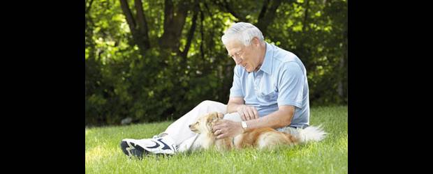 Hombres mayores sí quieren sexo | Archivo | La falta de una pareja interesada y varias enfermedades que van desde diabetes hasta cáncer de próstata, imposibilita las relaciones sexuales.