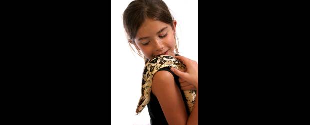 Los semilleros para aterrizar el sueño | Shutterstock | Las inscripciones al semillero de medicina veterinaria de la U. de A. se pueden hacer en el teléfono 219 9145. A los del CES en el 444 05 55 ext. 1651.