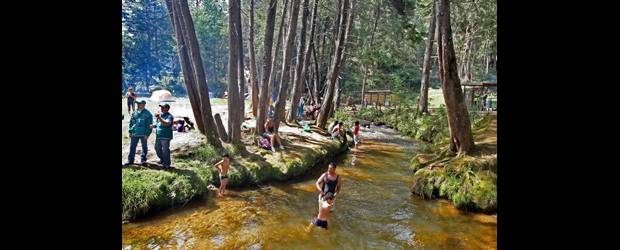 Cómo gozar mejor en Medellín |