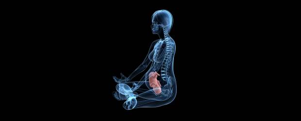 Se acerca día de la independencia fetal | Shutterstock | Incluso los ecógrafos están configurados para funcionar a partir de la tabla Handlock, de origen norteamericano. "Es muy necesario" establecer parámetros propios, asegura la ginecoobstetra María Nazareth Ocampo de la Clínica UPB.