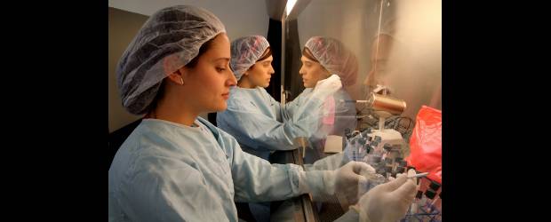 Ecopetrol premia a 140 bachilleres | Archivo | La mayoría de jóvenes becados por Ecopetrol optan por cursar sus estudios superiores en medicina o carreras afines a la ingeniería.