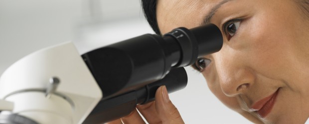 Gen en sistema inmunológico, vinculado con mal de Parkinson | Foto Shutterstock | El hallazgo se produjo dentro de un estudio a largo plazo de más de 2.000 pacientes con mal de Parkinson y 2.000 voluntarios sanos de clínicas de Oregon, Washington, Nueva York y Georgia.