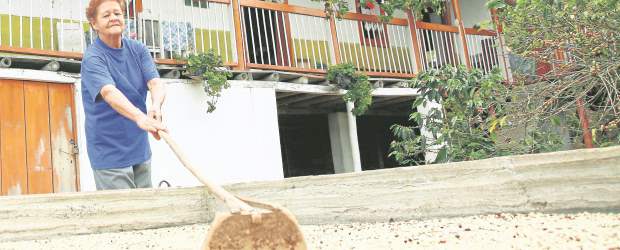 Precios y clima ponen nuevo mapa cafetero | Cortesía | De 8,4 millones de sacos de café será la producción cafetera nacional. Huila con 16,01% y Antioquia con 15,76% encabezan la lista de productores.