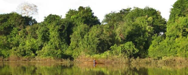 Brasil y E.U. canjean deuda por protección de bosques | Archivo