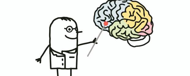 Ciencia, al servicio de la política | Shutterstock