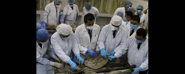Azules forenses levantan cadáveres de las vías | David Sánchez | Actualmente los agentes de tránsito cursan el tercer semestre de la tecnología de Investigación Forense. Ajustan un año de asistir a las clases del Tecnológico de Antioquia que los prepara como policías judiciales de lunes a viernes de 6 a 9 de la noche y los sábados de 6 de la mañana a 12 del mediodía.