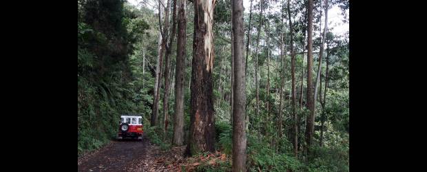 Oriente espera solución para licencias | Archivo | En un par de semanas se sabrá cuál es la suerte de los proyectos urbanísticos en el Oriente cercano paralizados con la medida expedida por el Ministerio del Medio Ambiente sobre la reserva forestal del Río Nare.