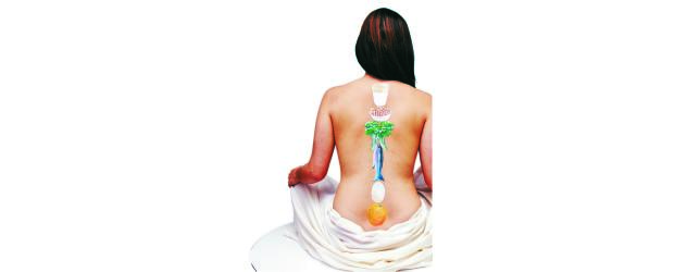 Cuidados para tener huesos y músculos sanos |