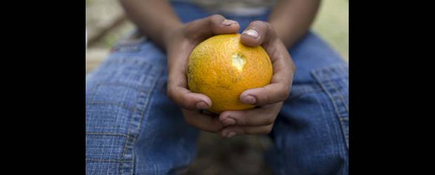 Sueños infantiles rotos en E.U. | Cortesía Human Rights Watch | Según un estudio de la organización Human Rights Watch, Estados Unidos está violando sus obligaciones legales y permitiendo casos de explotación laboral infantil. Los legisladores reconocen el problema y dicen trabajar en proyectos de ley que saquen a los niños de los campos agrícolas y de las fábricas.