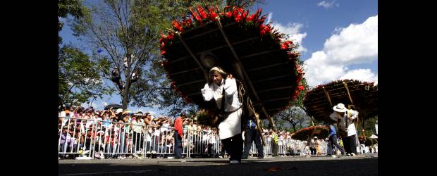 Silletas con toda la tradición | Fotos: Archivo | Los silleteros desfilan en sus hombros con unas silletas de las que se sienten orgullosos y a las que les pusieron todo su esfuerzo por ser las más bonitas. Las hay tradicionales, monumentales, emblemáticas y comerciales. Cada una tiene características especiales, que implican creatividad en el campesino.