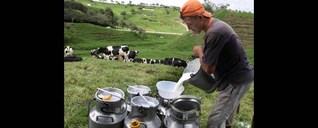 No se justifica importar leche: hay suficiente | Donaldo Zuluaga | Los productores de leche del país criticaron la propuesta de Asoleche de importar el producto pues consideran que se cuenta con la producción suficiente para abastecer el mercado nacional. El gremio de industriales mantiene iniciativa.