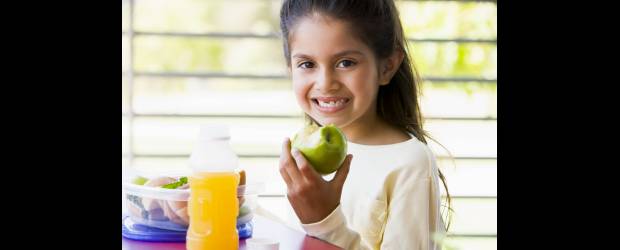 Claves para empacar una lonchera sana | Shutterstock | No es llenar, es nutrir, asegura Gladys Posada a la vez que alarma sobre los alimentos con muchas calorías y poca proteína que entorpecen el crecimiento.