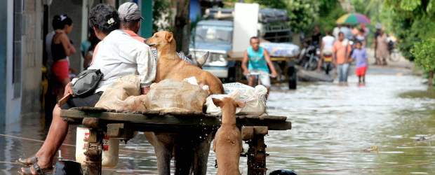 El fenómeno de La Niña irá hasta principios del 2012 | Archivo | El fenómeno climático de La Niña que acabó en mayo de este año, dejó en Colombia grandes inundaciones.