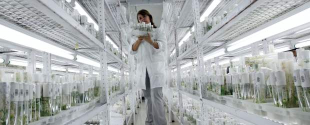 Agricultura para salvarnos | Archivo Hernán Vanegas. La foto es en el Centro de Investigación de Agricultura tropical en Palmira, Valle. | "A pesar de que la crisis ambiental es grave, estamos a tiempo de prevenir las peores consecuencias", dice Alejandro González,