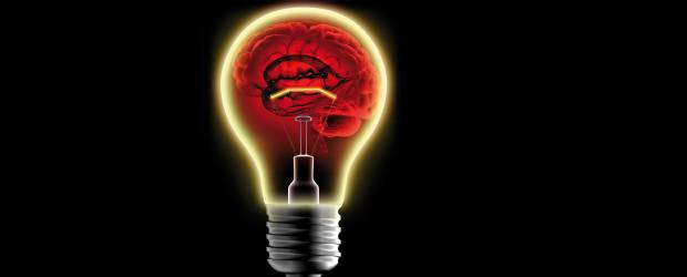 La memoria está en otro cuento | Sutter Stock | El ser humano tiene aproximadamente 100 mil millones de neuronas, las cuales cuentan con una capacidad inmensa para guardar información.
