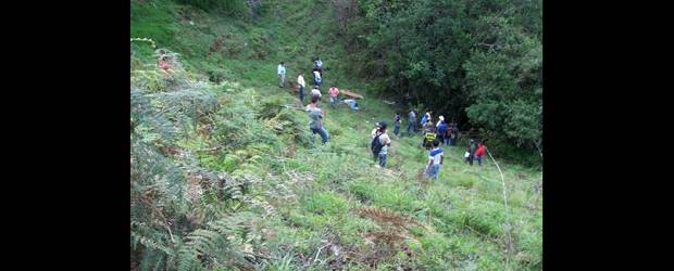 Y los morosos no pagaron | Archivo | Con el acuerdo que brindaba beneficios a los morosos en el tránsito se logró el pago de 21.328 multas y recaudar 3.400 millones de pesos.