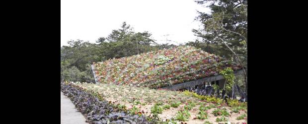Homenaje gigante al silletero | Cortesía | La gigantesca silleta se puede apreciar en el Núcleo de Comfama, en el Parque Arví.