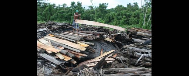 La coca se chupa la savia de la selva amazónica | Julio César Herrera | La pobreza es uno de los factores asociados a la deforestación por cultivos ilícitos. La región sur de Colombia y el Chocó biogeográfico han sido muy afectados. Foto de extracción en Chocó.