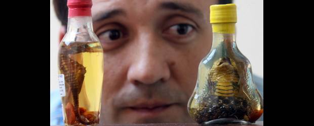 Botellitas hasta pa' tirar pa'arriba | Hernán Vanegas | A pesar de que hace tiempo tiene estas botellas con animales exóticos adentro, José no pierde el asombro. El revés, es el más emocionado y fascinado por la particularidad de las botellitas. No sabe hasta dónde llegará con su colección.