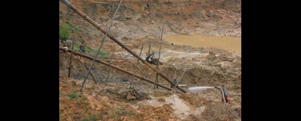 Proyecto de especies nativas genera ya bonos de carbono | Archivo | La minería ha deforestado extensas regiones del Bajo Cauca y el Nordeste. Se demuestra que es posible plantar allí especies nativas.
