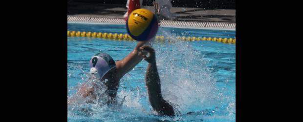 Acabar el "fucú" es la meta del relevo del polo paisa | Julio César Herrera | Valle del Cauca fue el campeón de la categoría de mayores A. Antioquia dominó en la sub17 de los varones. Y Cauca ganó en la fuerza B. Tolima, otra de las potencias nacionales, fue tercero en el certamen de mayores, detrás de Antioquia A. En la región paisa se labora en el proceso de masificación, con 36 equipos.