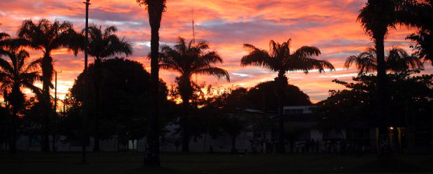 Inírida es un destino con nombre de flor | Cortesía | Los delfines rosados que a diario patrullan sus ríos hacen de la capital de Guainía un espacio para la contemplación y admiración por la naturaleza.