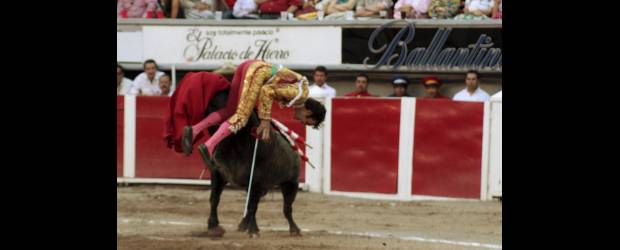José Tomás ya está fuera de peligro | Reuters | Para el torero, que ha recibido varias cornadas, ésta se considera la más grave. Su recuperación sorprende. El toro, Navegante, de 473 kilos.