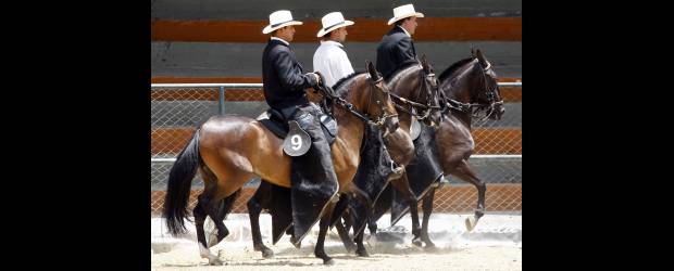 Donde hay paisas, hay caballos | Jaime Pérez | Hasta el domingo continuará la Expointernacional Equina Feria de las Flores Medellín Grado A - 2010. Se realiza en el Coliseo Aurelio Mejía, de Bello. Es una oportunidad de apreciar el trabajo de entrenamiento de estos ejemplares.