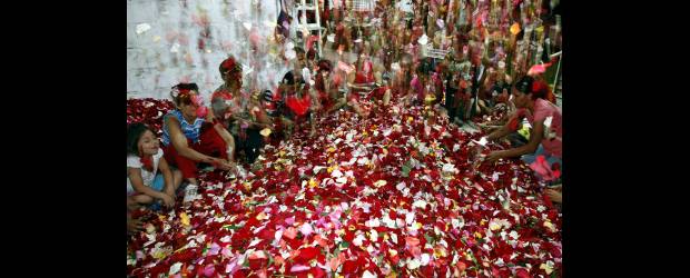 Lluvia de flores para no olvidar | Jaime Pérez, Enviado Especial-Armero-Guayabal | Mujeres y niños, algunas de ellas sobrevivientes de la avalancha del 13 de noviembre de 1985, prepararon los pétalos que serán lanzados hoy desde tres helicópteros de la Policía Nacional.