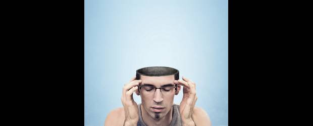 Cuál lado de su cerebro predomina | Shuuterstock | La parte superior del cerebro humano está dividida en dos hemisferios, a los que la ciencia atribuye el control de tareas distintas, especializadas y complementarias.