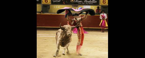 Tarde a punta de Cancionero | Robinson Sáenz | El hermoso torito Cancionero, con pelaje jabonero, fue lo más destacado de la novillada que abrió la Feria. Los astados estuvieron por encima de los toreros.