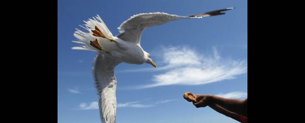 Compasión sin pasión es igual al estatismo ante el dolor | AP |