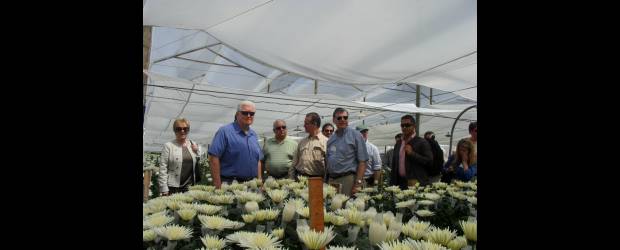 Sin Atpdea, las ventas de flores caen un 20% | Cortesía-oriente Antioqueño | Varios congresistas estadounidenses estuvieron el sábado en el cultivo Flores El Trigal, en el Oriente Antioqueño. La delegación se comprometió con la aprobación del Tratado de Libre Comercio entre Estados Unidos y Colombia.