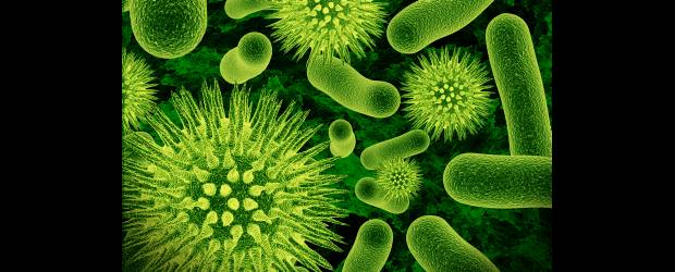 Bacterias que se cuelan en el quirófano | Shutterstock | Para combatir las infecciones bacteriales, la Organización Mundial de la Salud pide no abusar de los antibióticos.